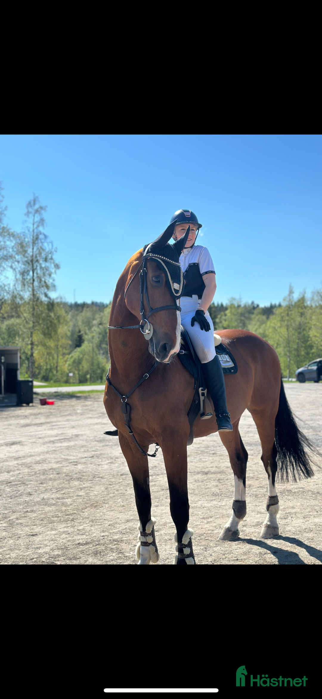 Hoppning hästar till salu: Underbar hopphäst söker ny bästa vän🌟 i Kusmark - Annons 7