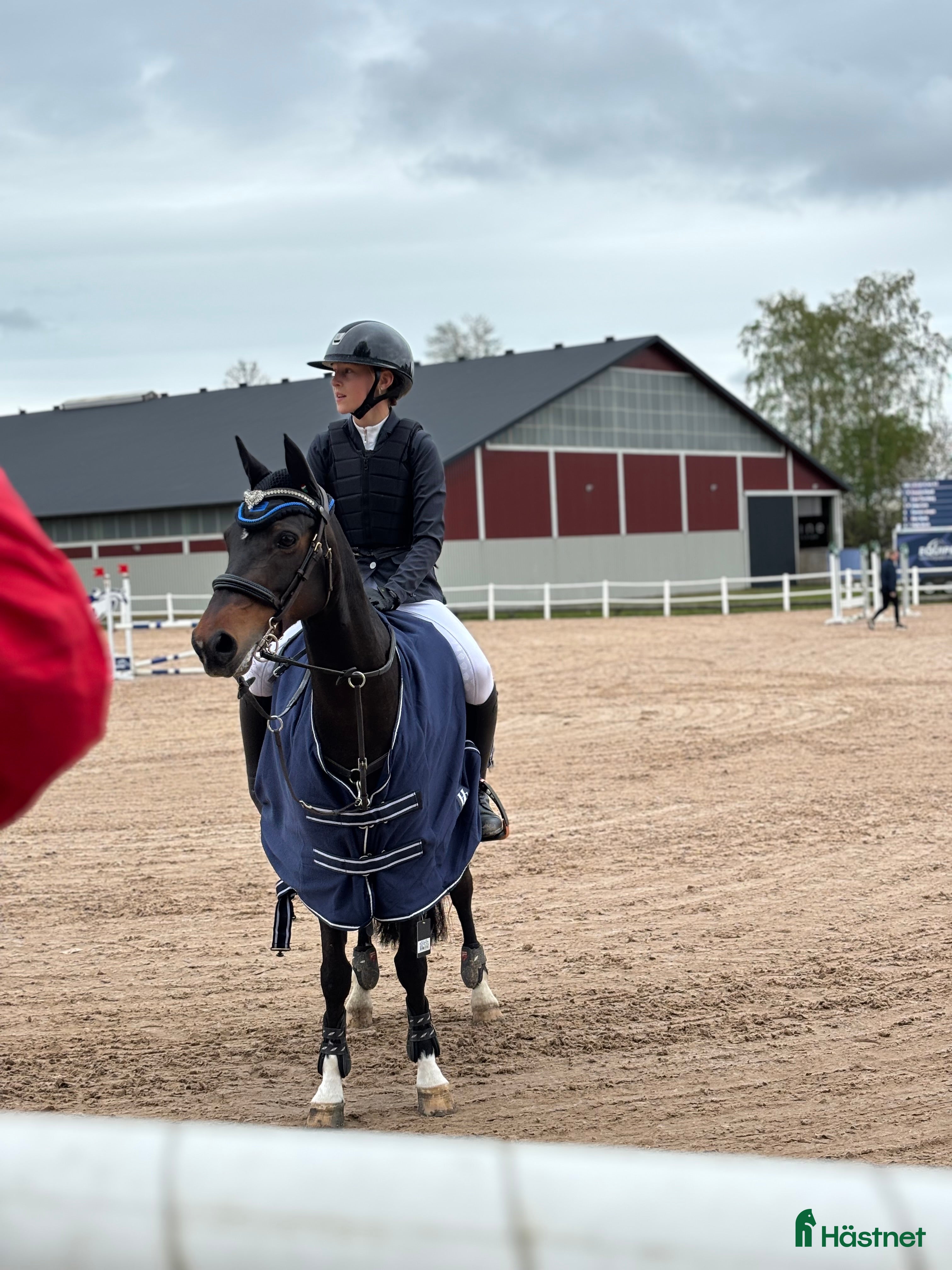  hästar Unik ponny - Annons 17
