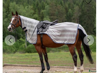 Täcken hästutrustning till salu: Flugridtäcke i Rydöbruk - Annons 3