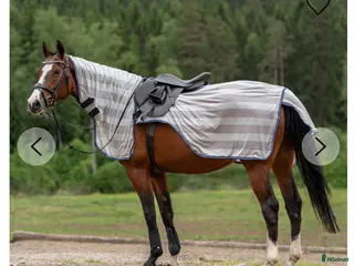 Täcken hästutrustning till salu: Flugridtäcke i Rydöbruk - Annons 2