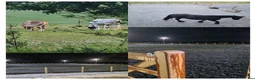  stallplats finnes: Stall uthyres  - Annons 8