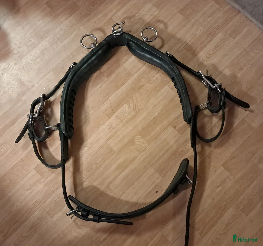 Körselar körning till salu: Maratonsele i äkta läder i Årsta - Annons 5