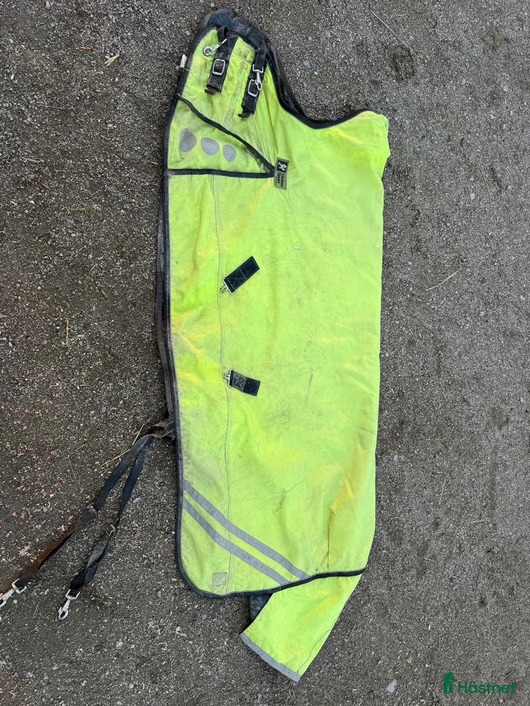 Täcken hästutrustning till salu: Gult globustäcke - Annons 2