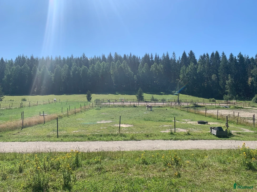  stallplats finnes: Lediga stallplatser Tullinge (box resp. lösdrift) - Annons 2