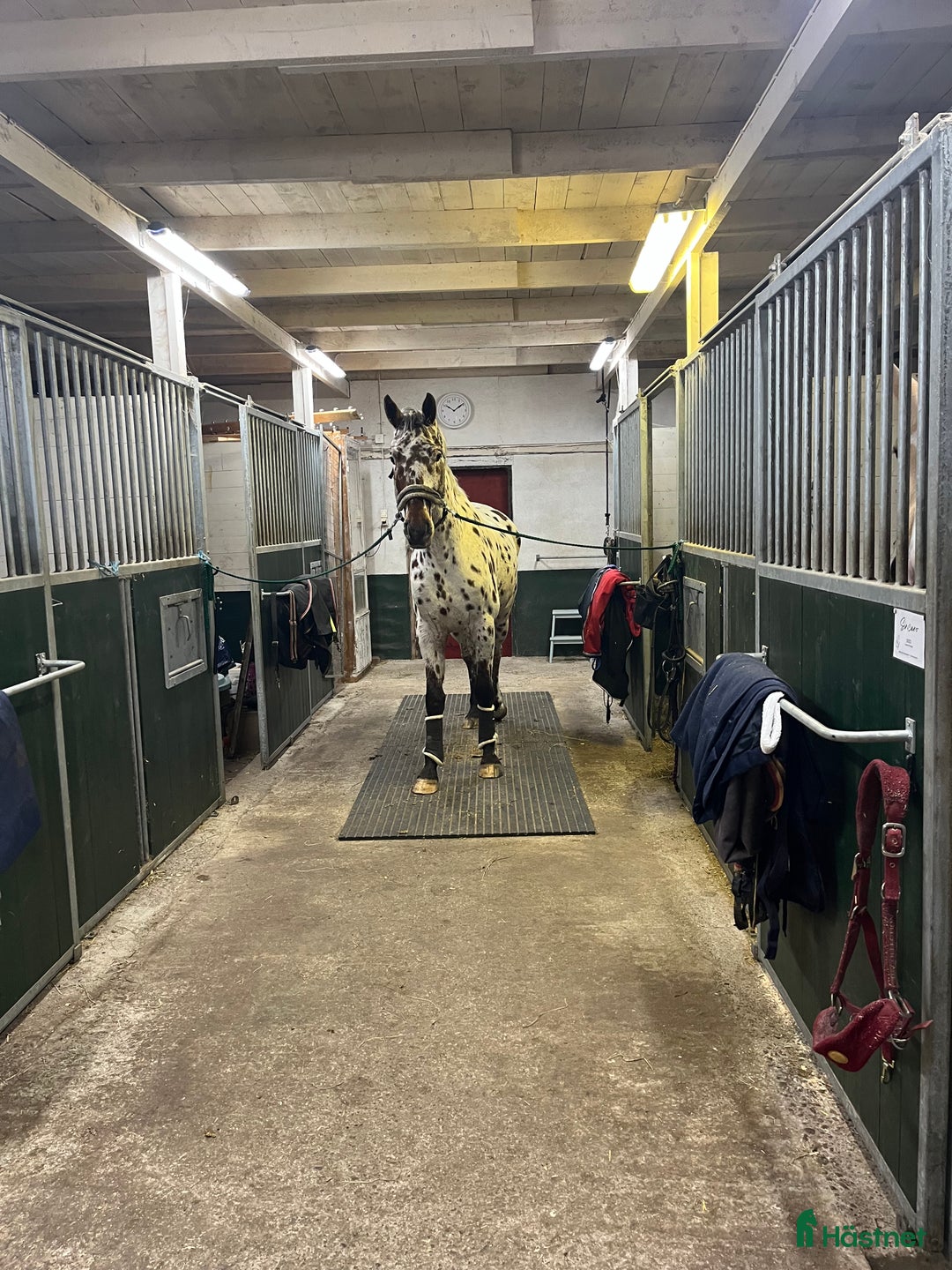  stallplats finnes: Stallplats Nybro i Nybro - Annons 7