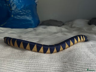 Träns hästutrustning till salu: Flätat pannband i Gråbo - Annons 6