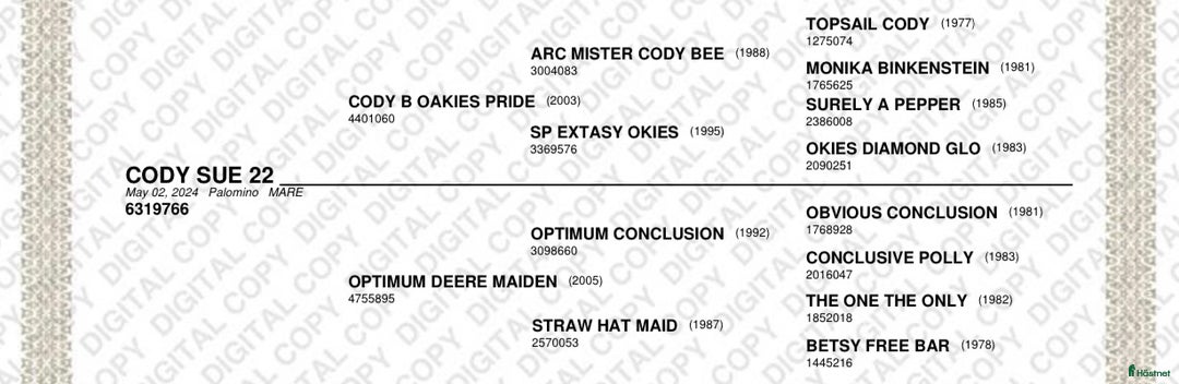 Western hästar till salu: Palomino quartersto i Lidköping - Annons 5