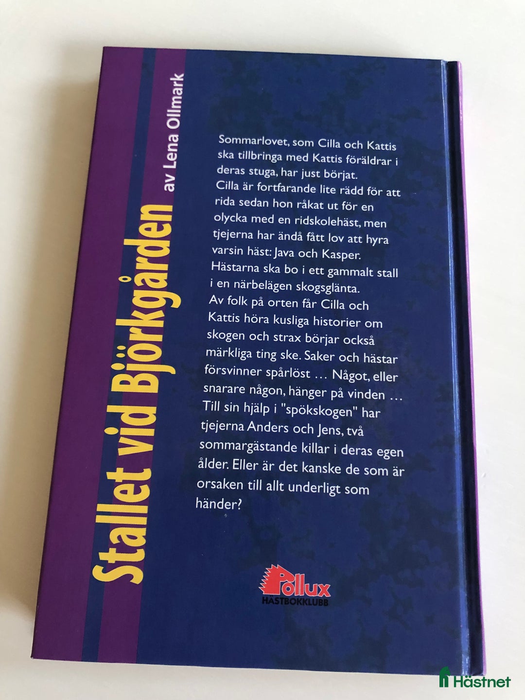 Hästinspirerad heminredning övrig utrustning till salu: ”Stallet vid Björkgården” Författare Lena Ollmark i Växjö - Annons 2