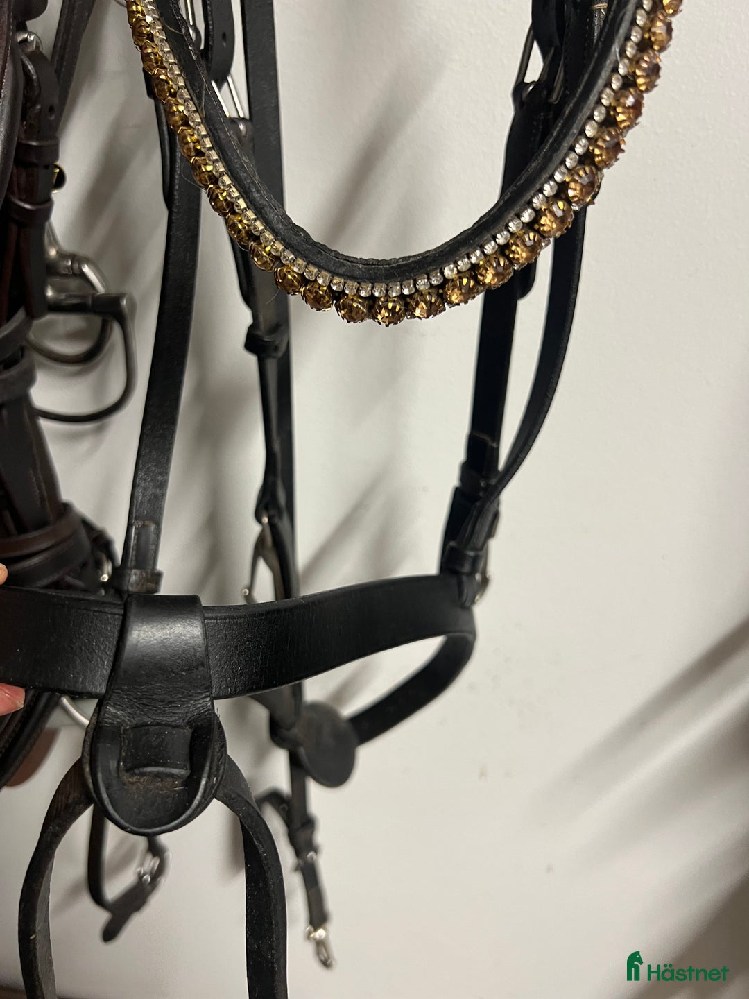 Träns hästutrustning till salu: Dyon träns i Uppsala - Annons 4