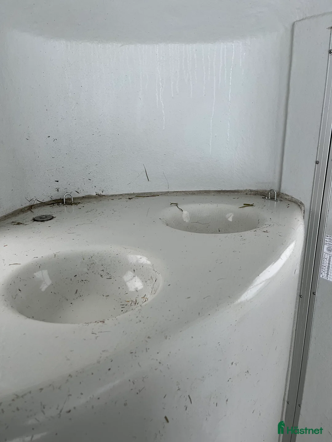 Hästtransporter  fordon & transport till salu: Cheval Gold  i Sundsvall - Annons 15