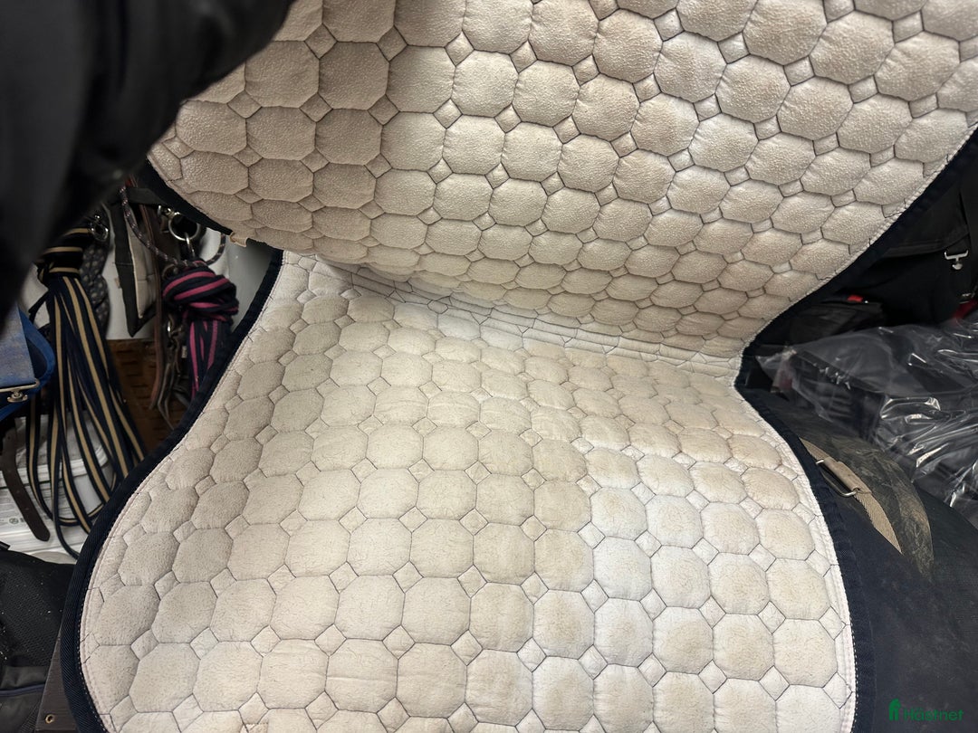 Schabrak & Vojlockar hästutrustning till salu: Equiline och Trolle schabrak säljes i Bollnäs - Annons 2