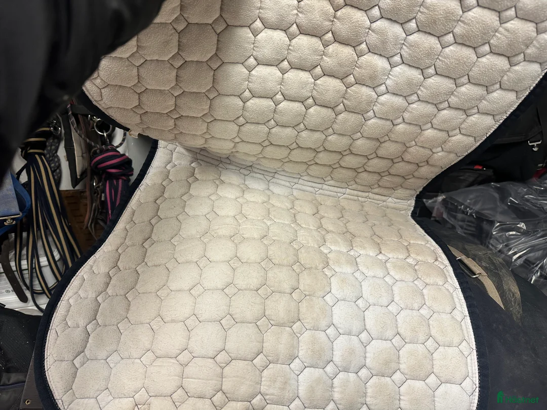 Schabrak & Vojlockar hästutrustning till salu: Equiline och Trolle schabrak säljes - Annons 2