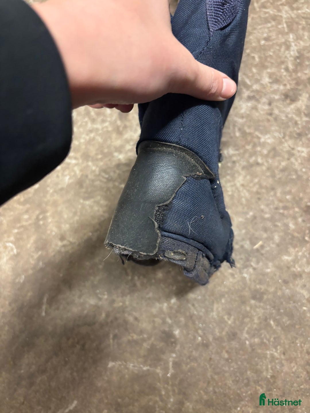 Benskydd hästutrustning till salu: Kingsland transportskydd  i Vinninga - Annons 22