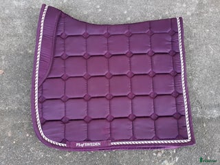 Schabrak & Vojlockar hästutrustning till salu: Schabrak i Ludvika - Annons 17