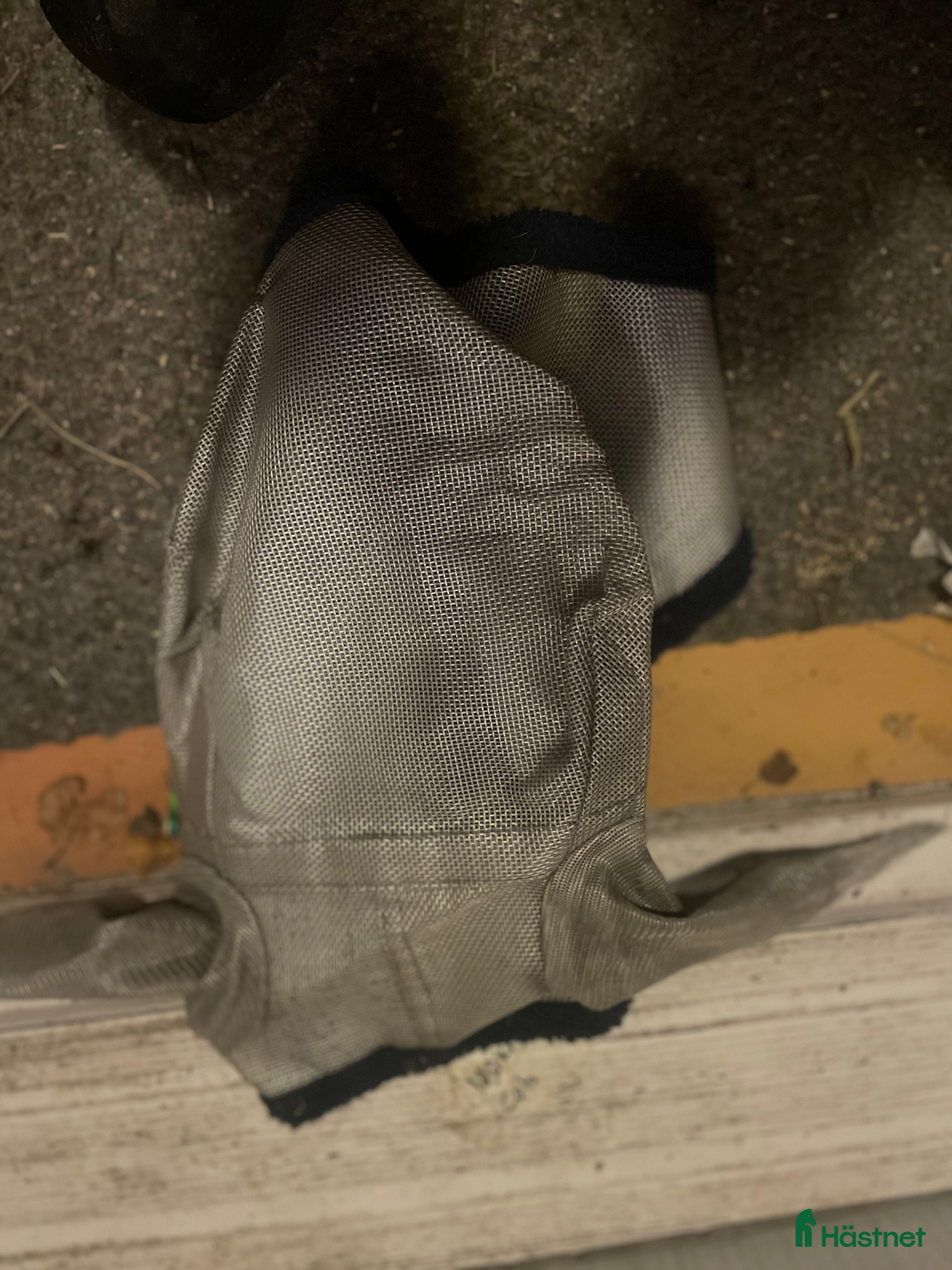 Övrig Hästutrustning hästutrustning till salu: Blandad hästutrustning!! - Annons 20