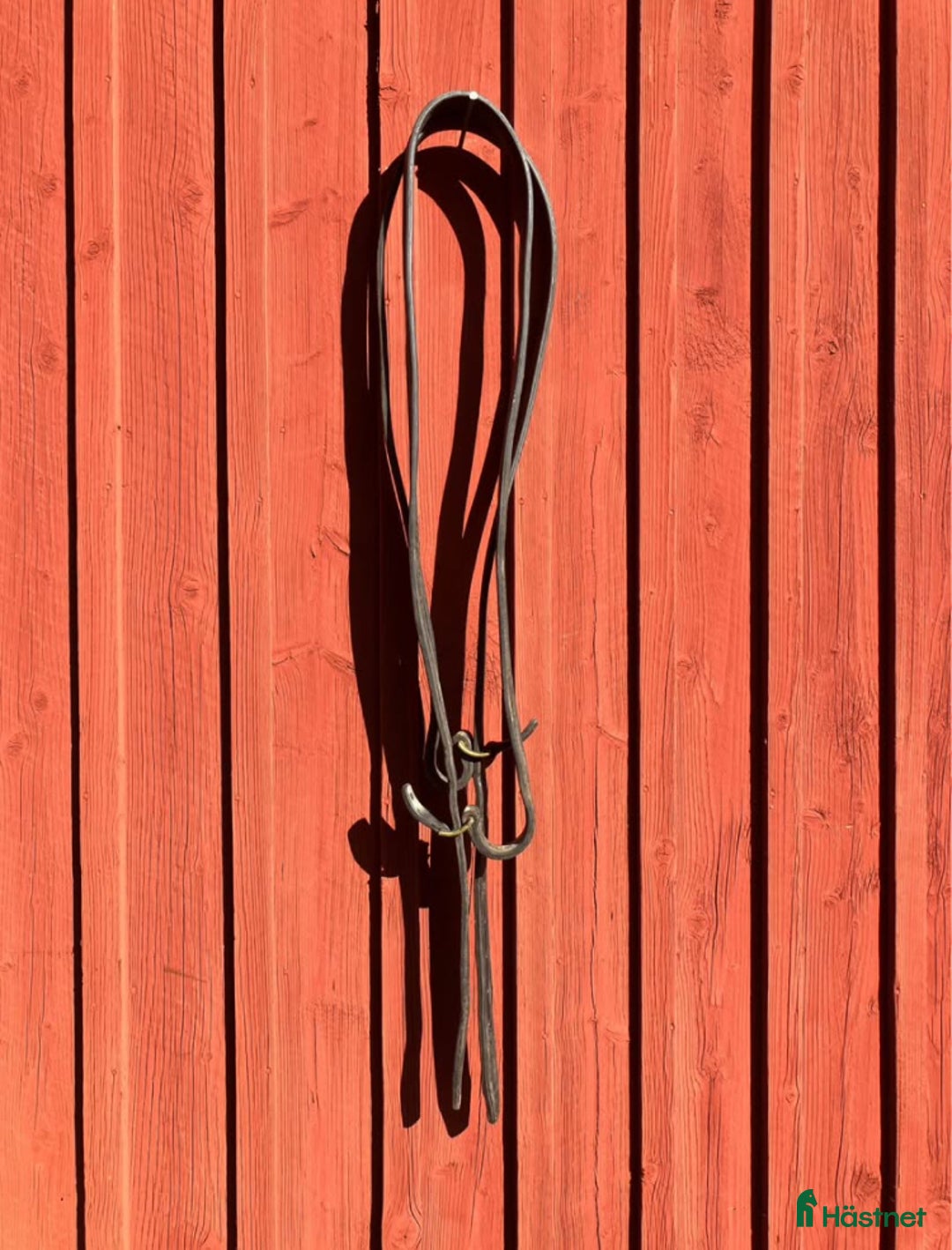 Övrig Hästutrustning hästutrustning till salu: Ovanlig sele och träns i Forserum - Annons 8