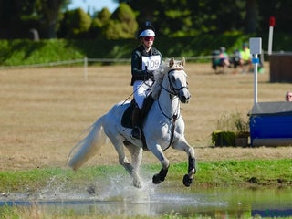 hästar i Jönköping - Annons 7