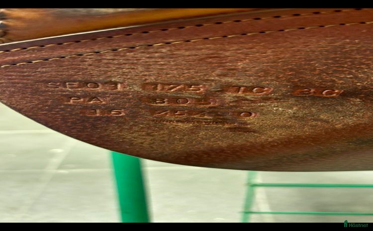 Sadlar hästutrustning till salu: Fin Cwd Sadel i Hjärnarp - Annons 2