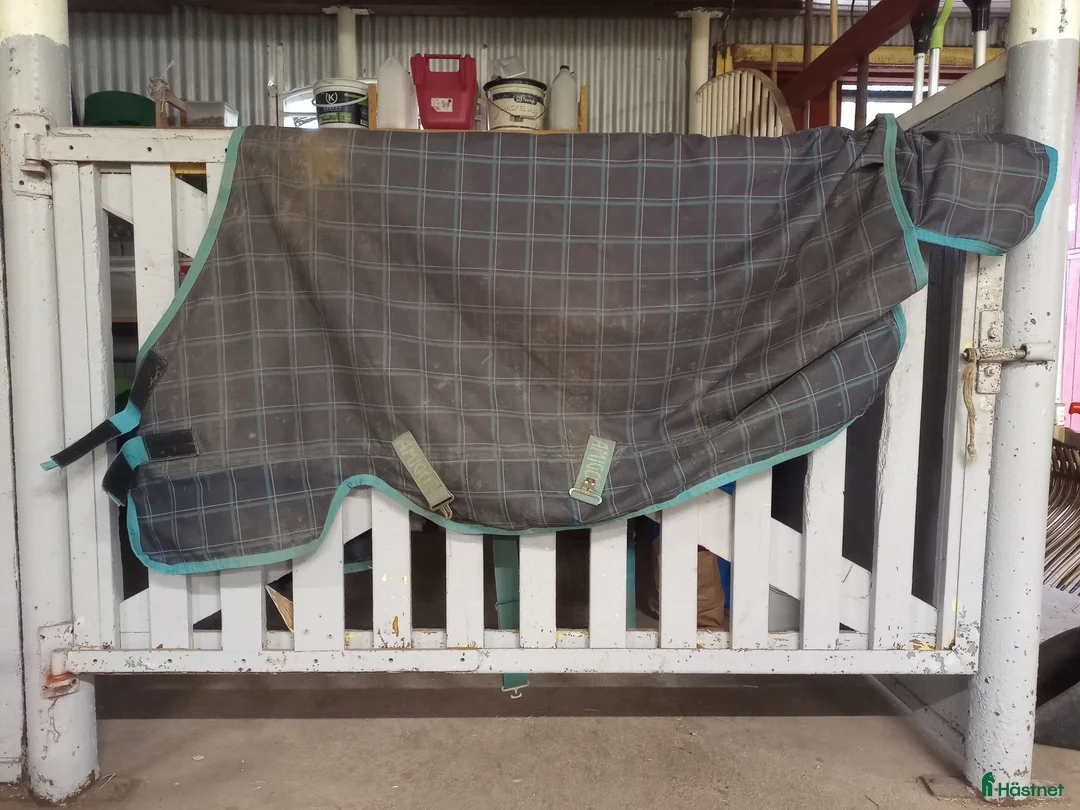 Täcken hästutrustning till salu: Täcke Horseware stl 110 - Annons 2
