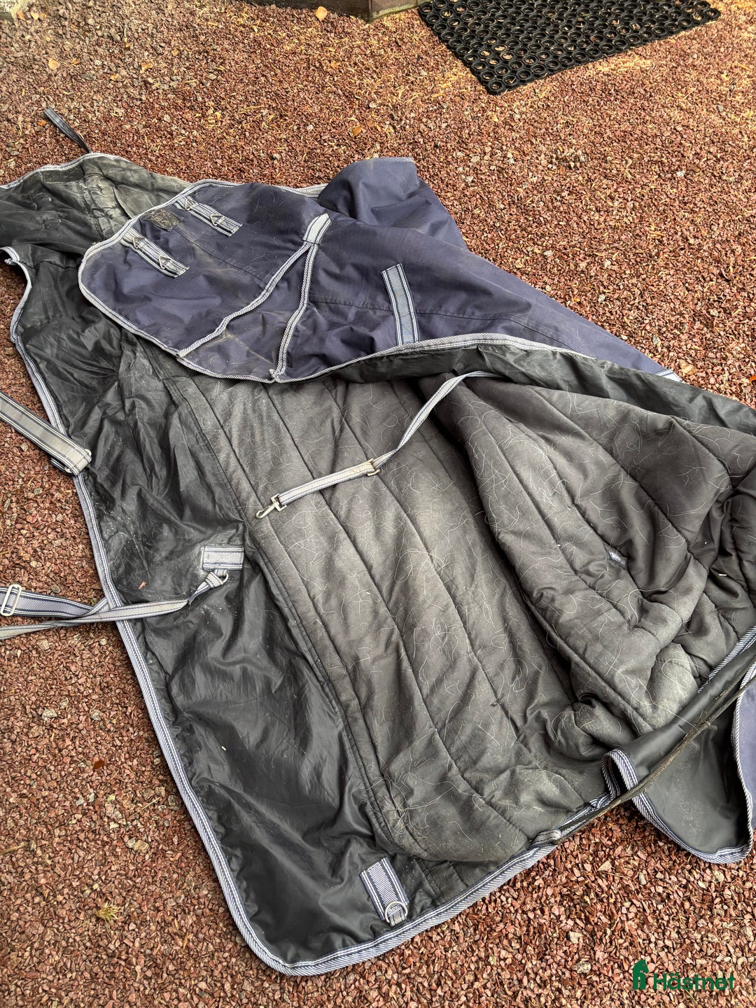 Täcken hästutrustning till salu: Vintertäcke oklart märke  i Sollerön - Annons 6