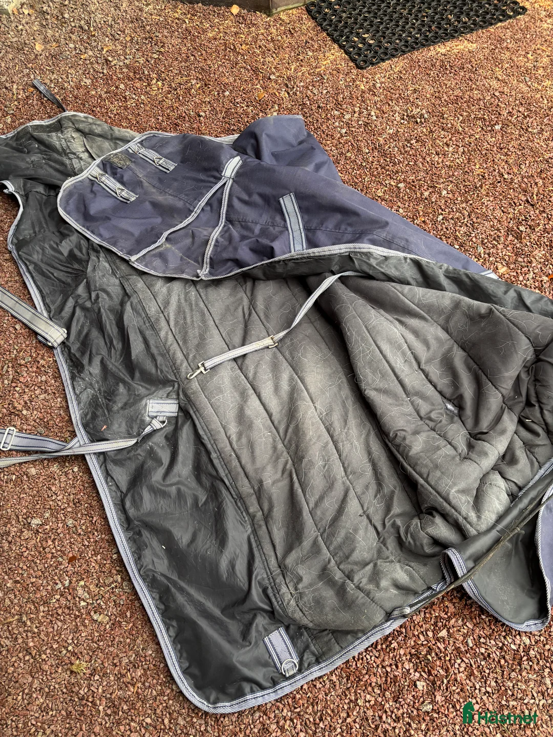 Täcken hästutrustning till salu: Vintertäcke oklart märke  i Sollerön - Annons 6