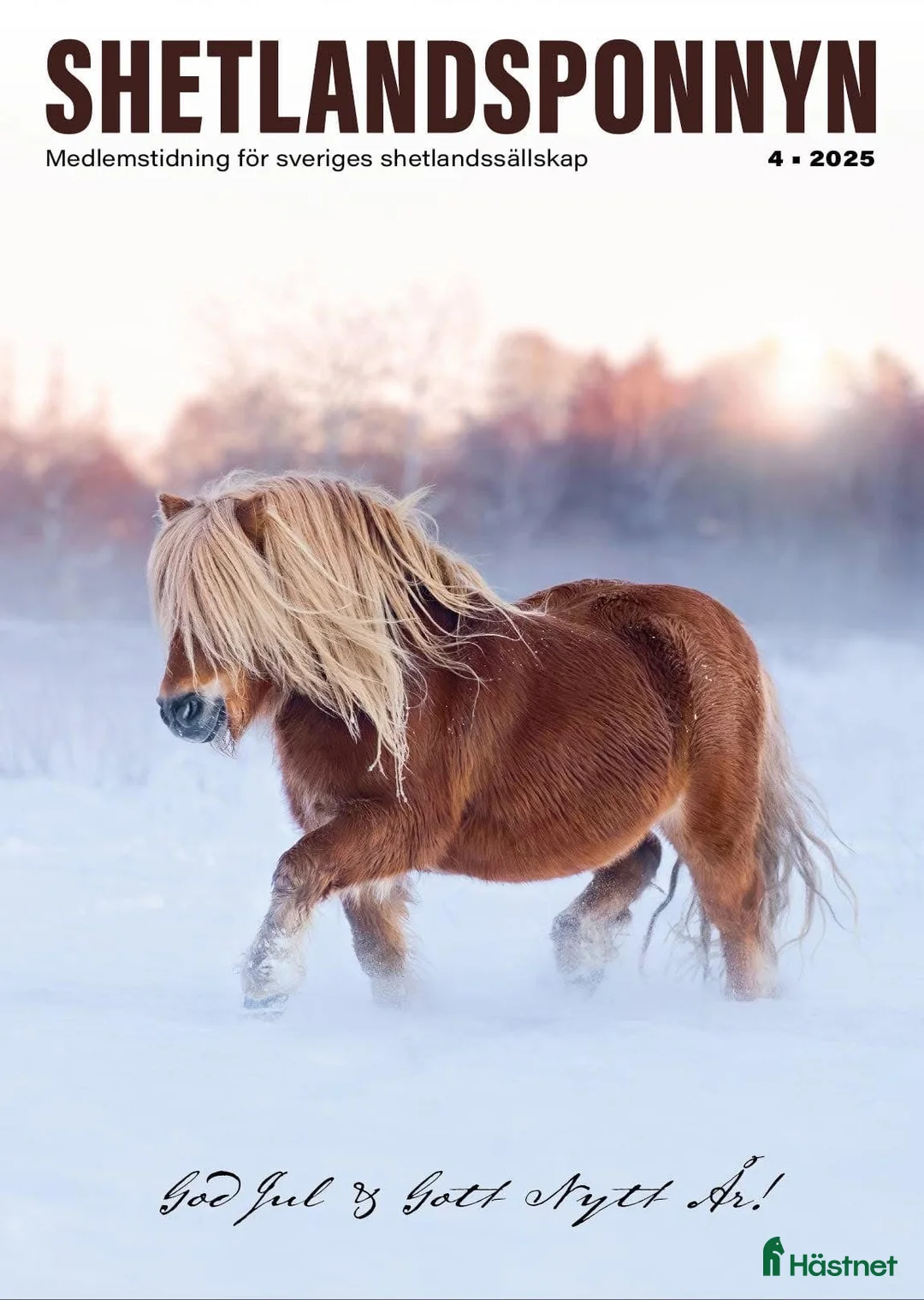 Allround hästar till salu: *** SÅLD **** Lovande bruksponny - Annons 15
