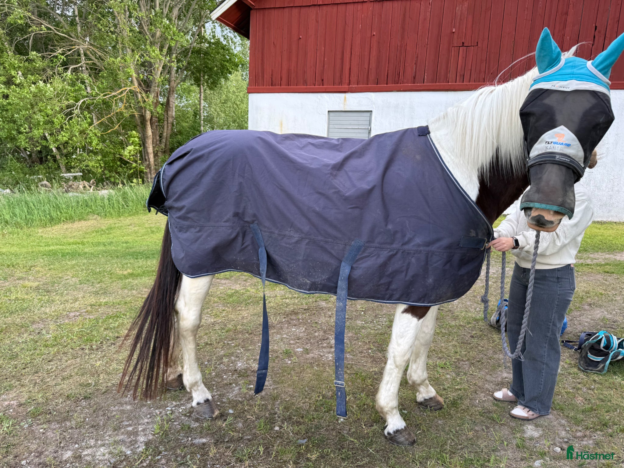 Täcken hästutrustning till salu: Blandade täcken 135 (6st) - Annons 13
