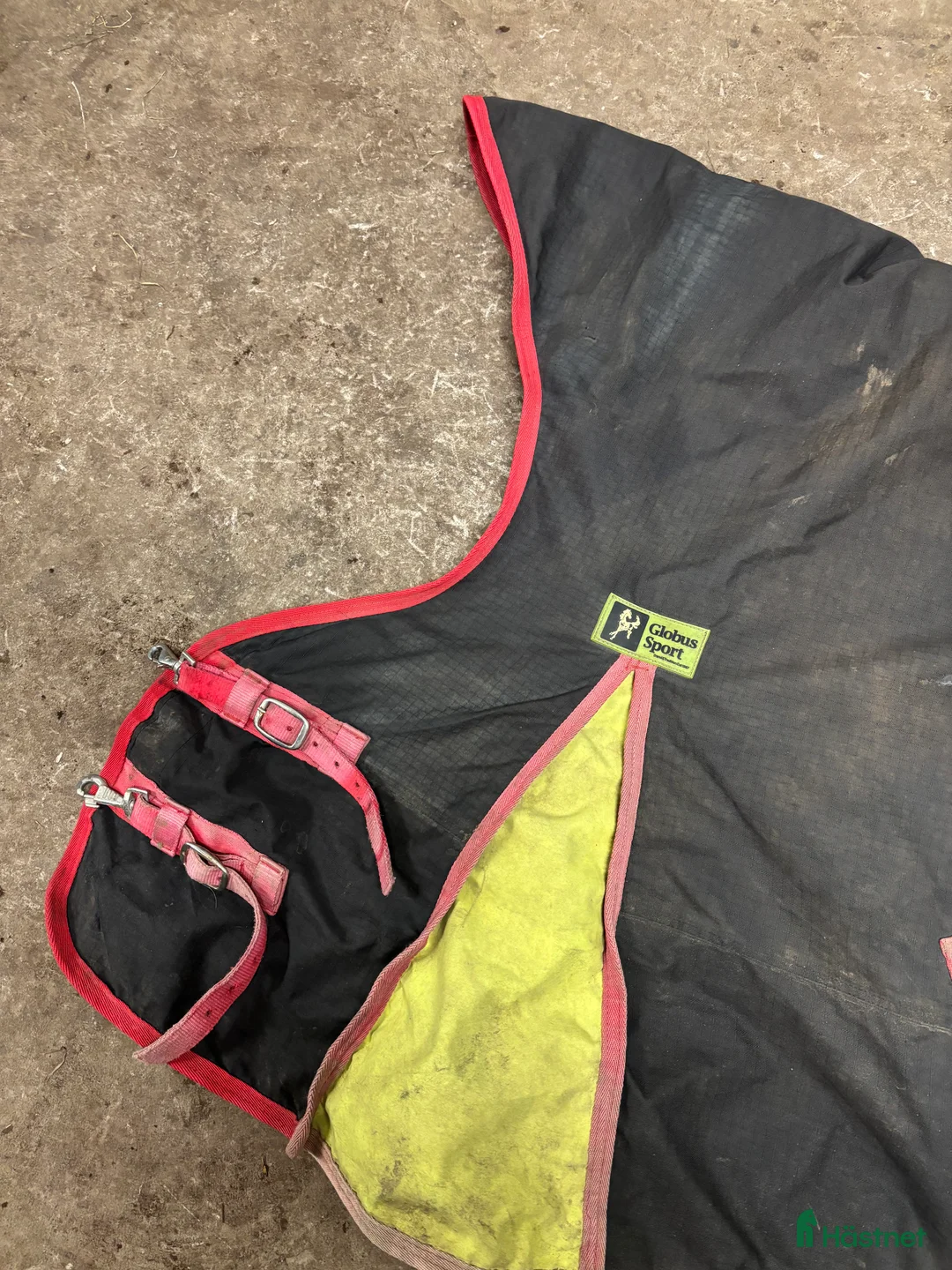 Täcken hästutrustning till salu: Globus utetäcke - Annons 2