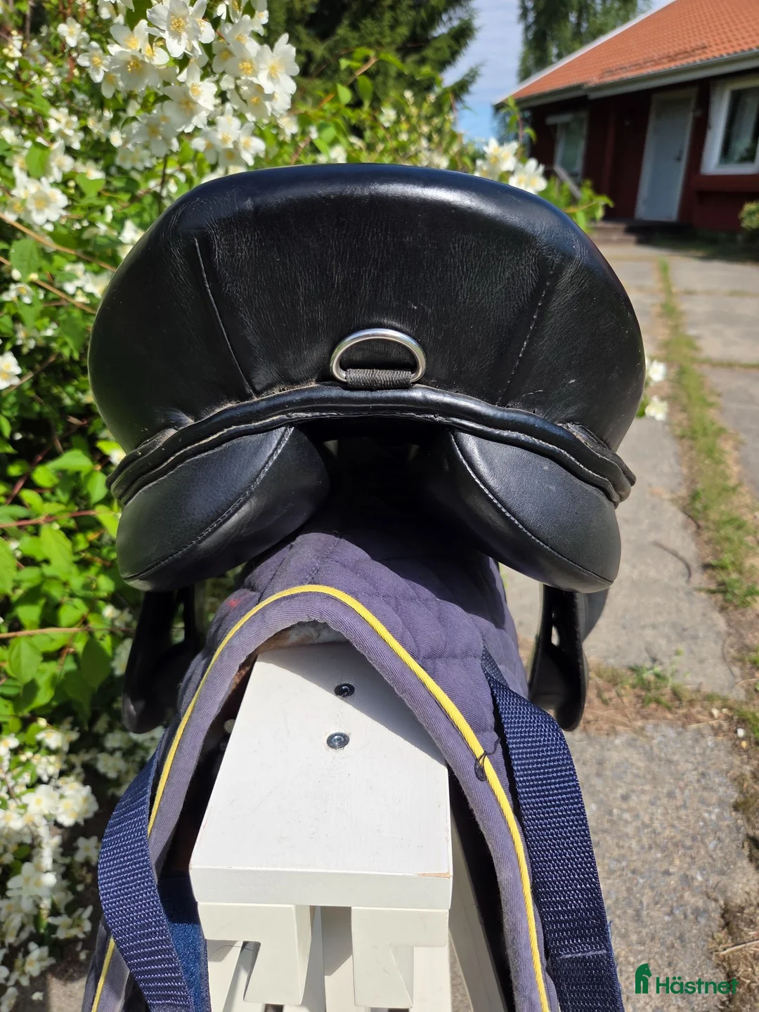 Sadlar hästutrustning till salu: Fouganza  - Annons 7