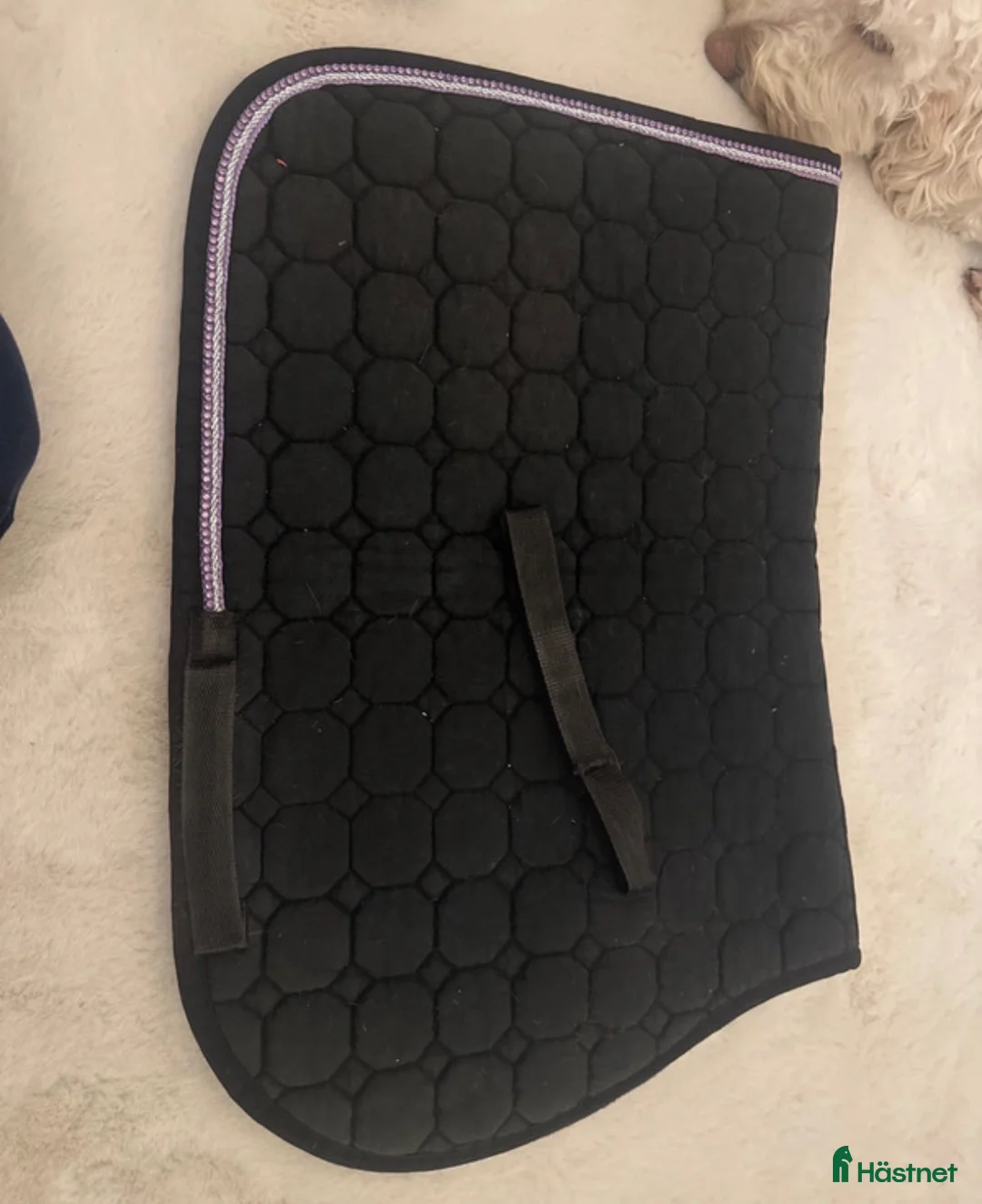 Schabrak & Vojlockar hästutrustning till salu: Equiline set💜 - Annons 3