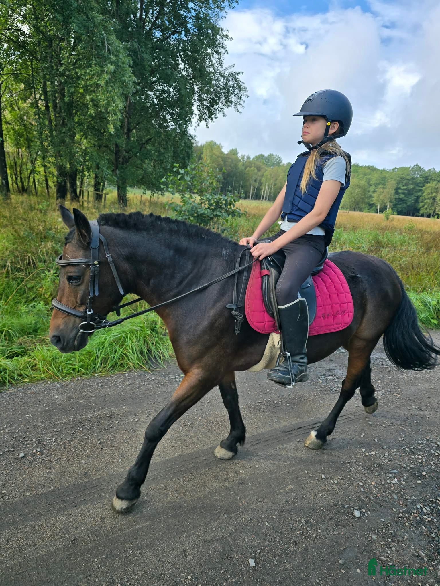  medryttarhäst finnes: Små medryttare sökes - Annons 1