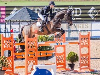 hästar 16-årig valack till salu i Rydebäck - Annons 4