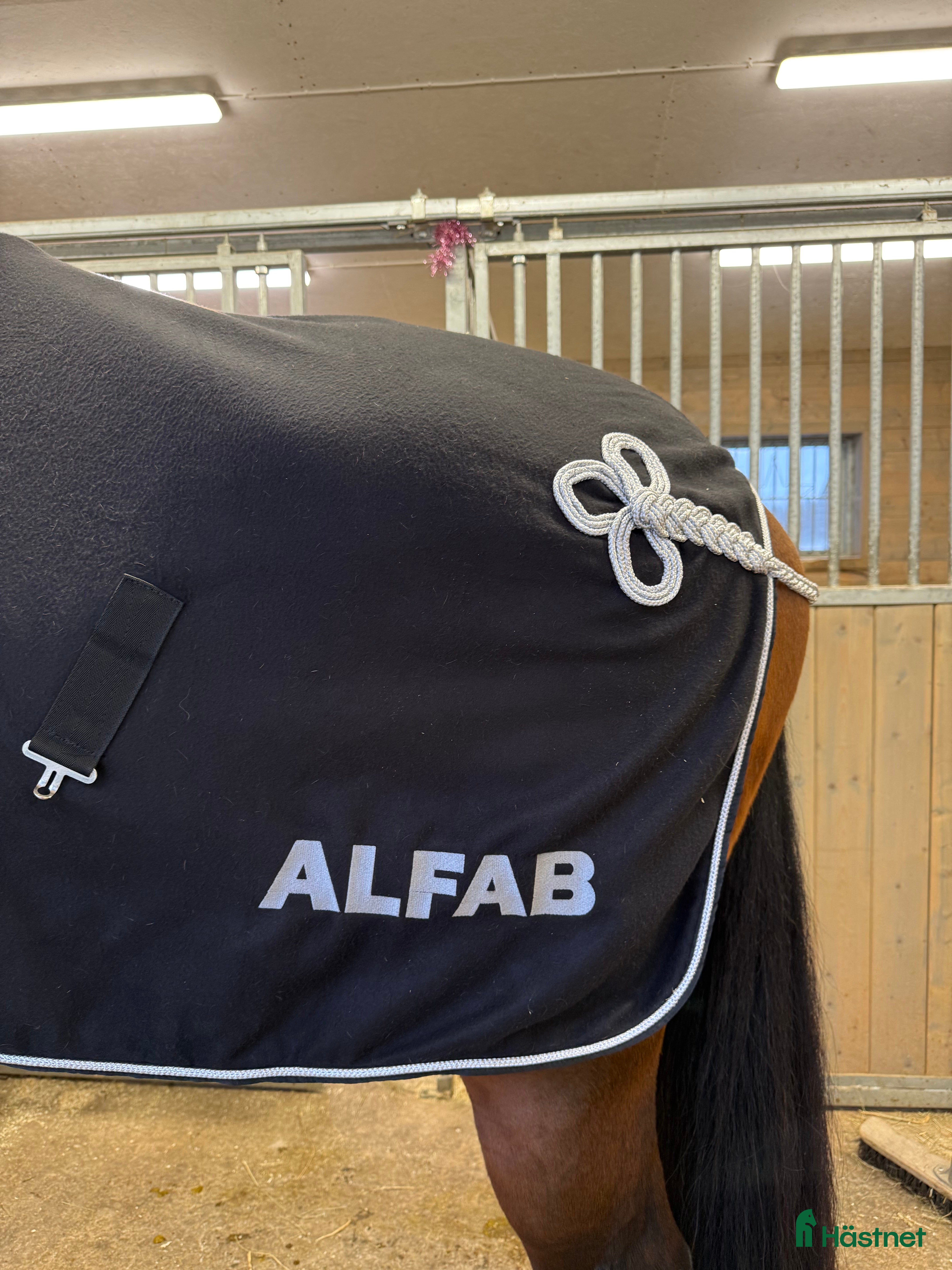 Täcken hästutrustning Fint Alfab täcke till salu  - Annons 23