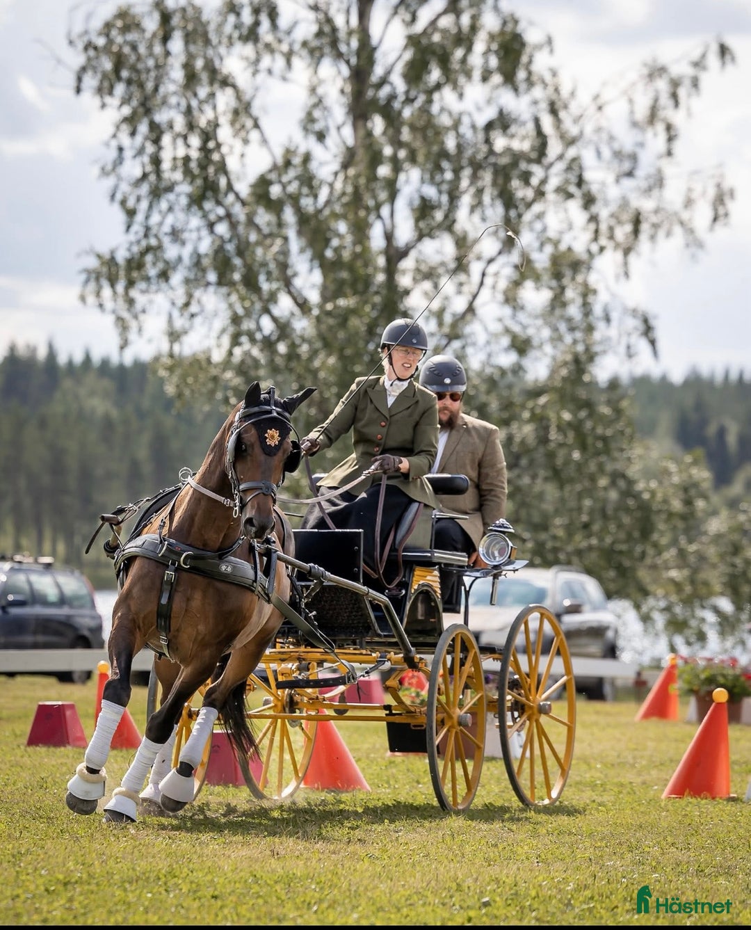  stallplats finnes: Stallplatser, gård eller arrende sökes! i Ljungsbro - Annons 2