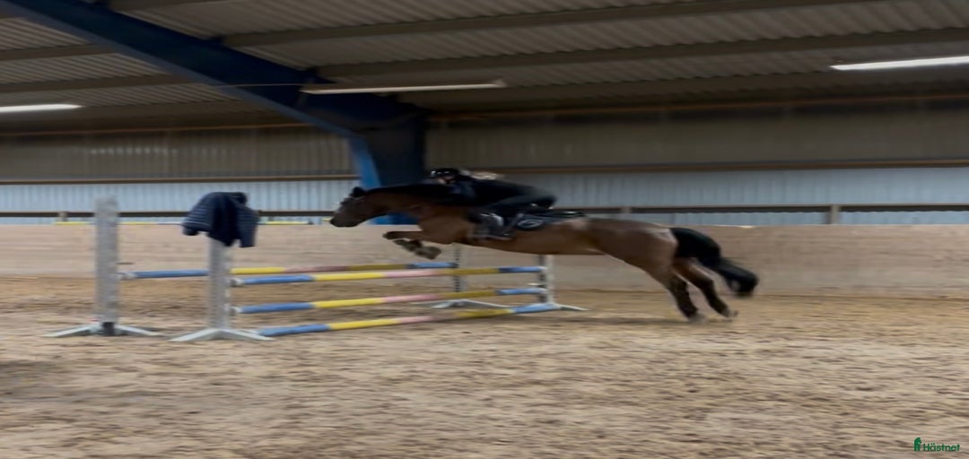 Galleribild {{count}}