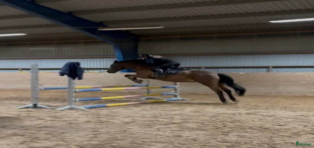 Galleribild {{count}}