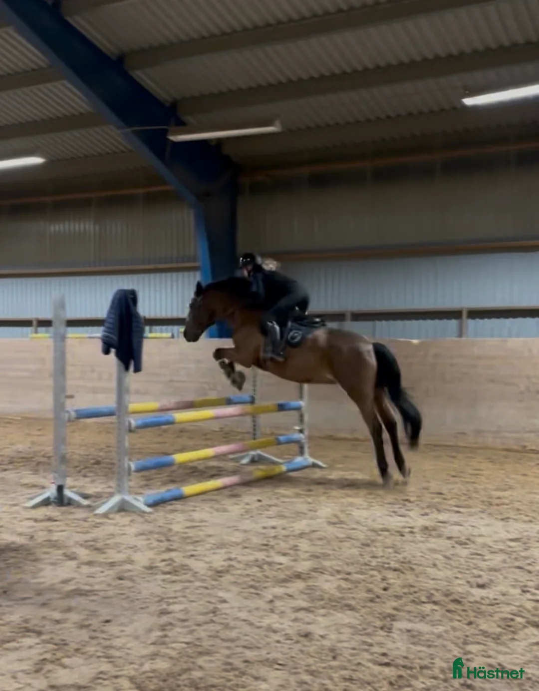 Galleribild {{count}}