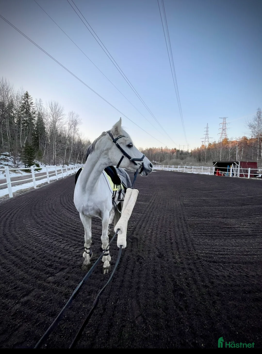  stallplats finnes: Ledig stallplats i Huddinge  i Huddinge - Annons 3