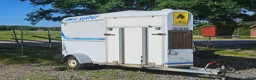 Hästtransporter  fordon & transport till salu: BYGDSILJUM BRUNTE -92 i Borlänge - Annons 1
