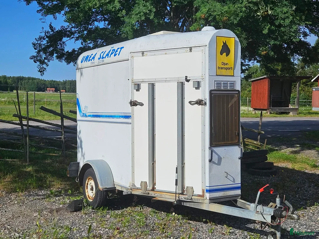 Hästtransporter  fordon & transport till salu: BYGDSILJUM BRUNTE -92 i Borlänge - Annons 1