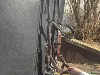 Träns hästutrustning Micklem Träns - Annons 3