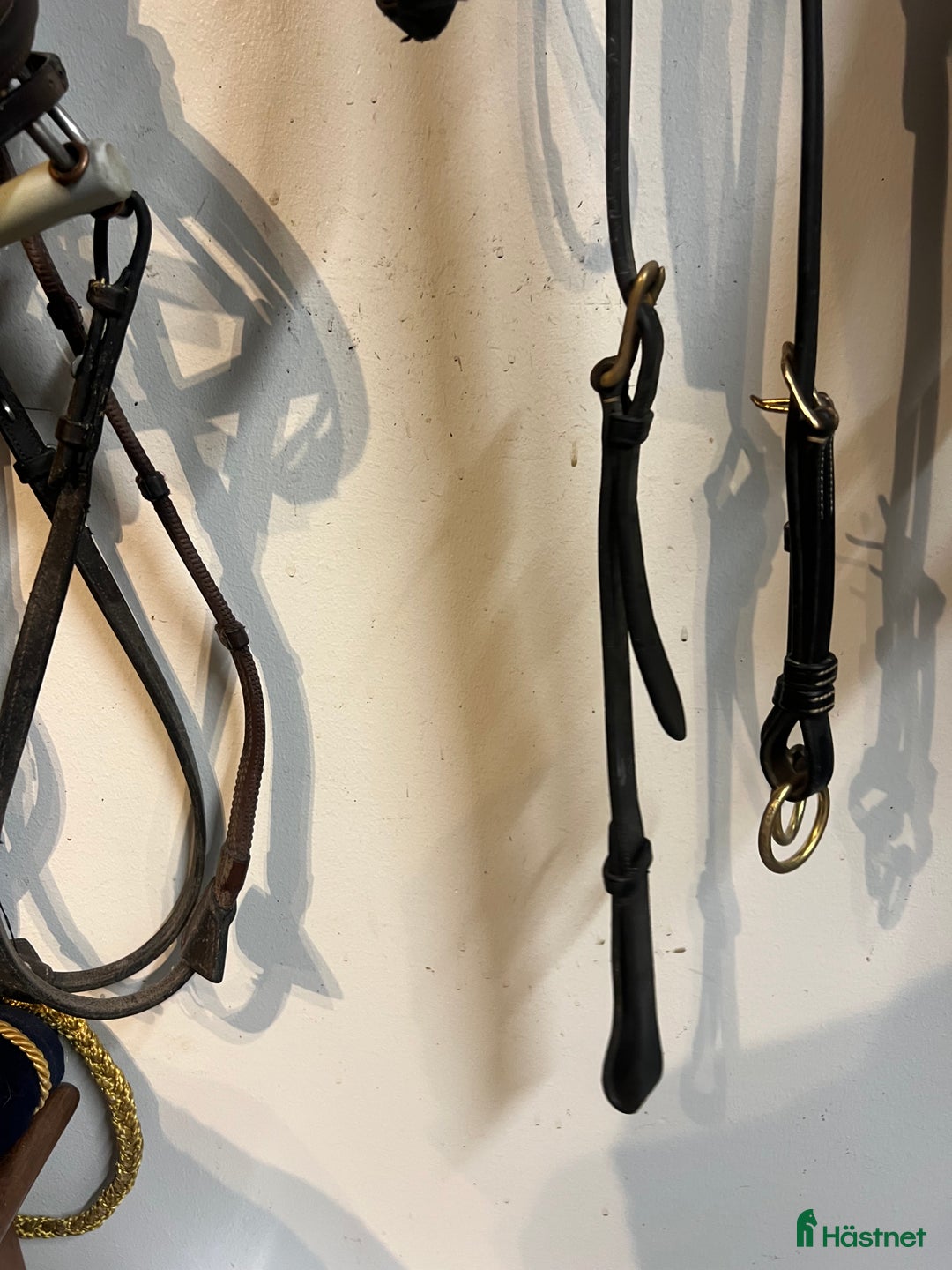 Övrig Hästutrustning hästutrustning till salu: Dyon 5-punkt förbygel i Uppsala - Annons 7