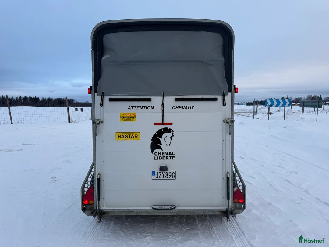 Hästtransporter  fordon & transport till salu: Cheval Touring Country -21 - Fronturlastning - Annons 5