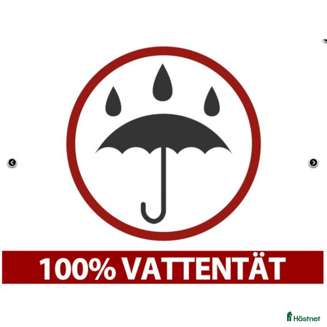 Övrig utrustning övrig utrustning till salu: Båthall PRO XL 3,5 x 8 x 3,3 x 3,94 m PVC Grå - Annons 2