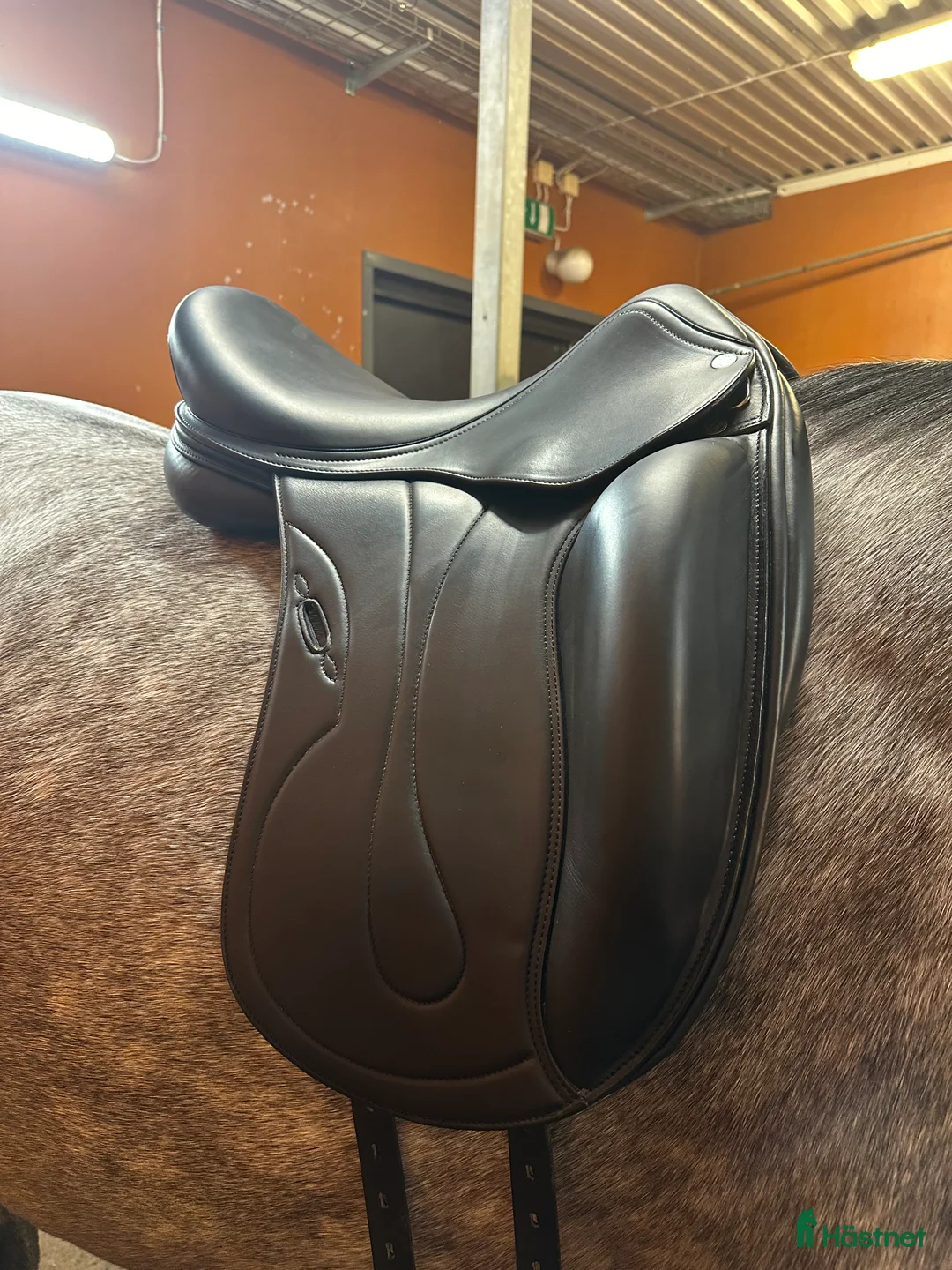 Sadlar hästutrustning till salu: Equipe Oracle i Nyskick i Norra Sorunda - Annons 3