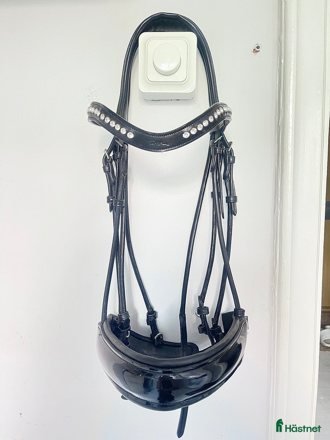 Träns hästutrustning till salu: DYÓN KANDAR  i Solna - Annons 2