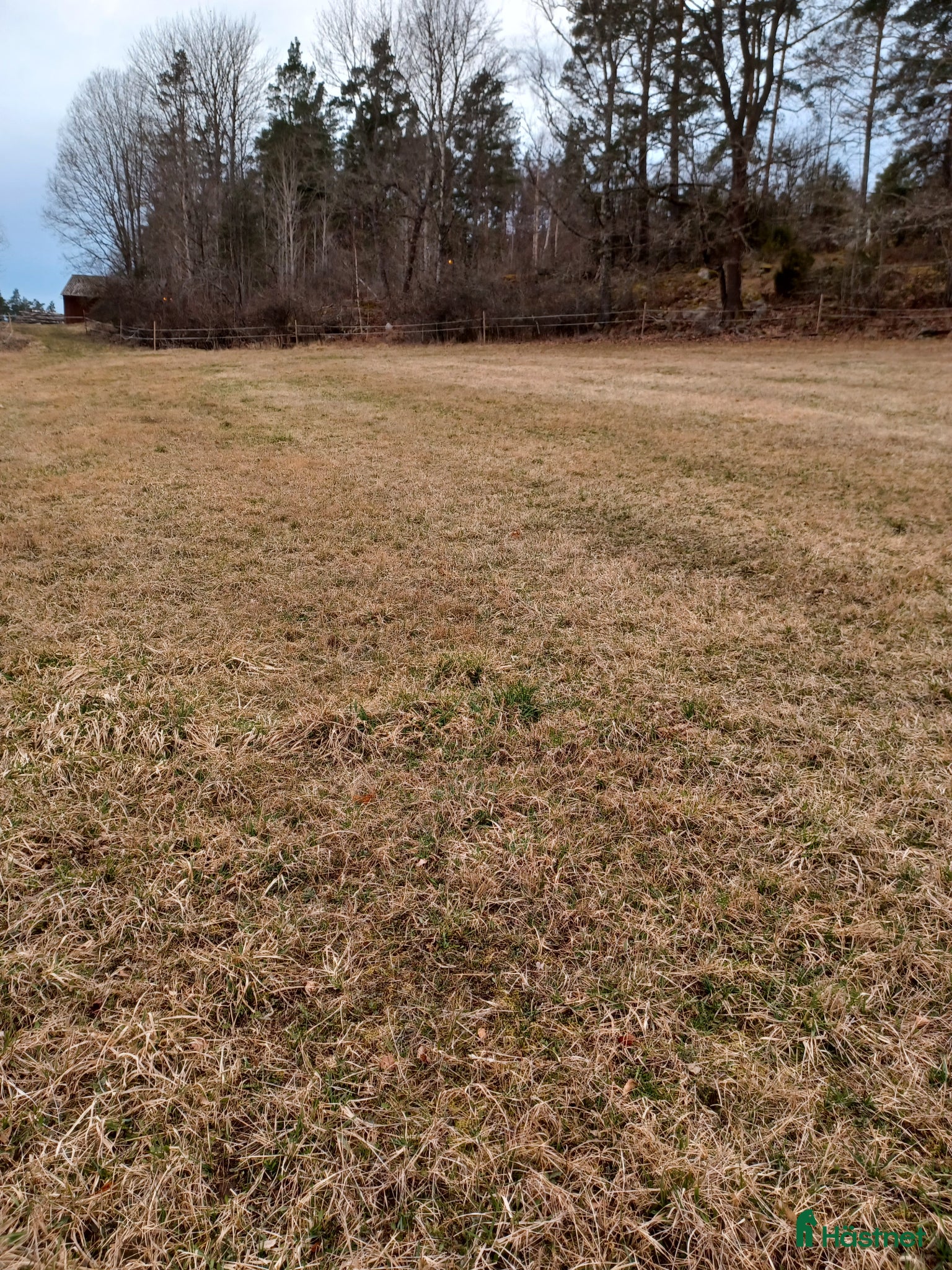  stallplats Sommarbete med tillsyn  - Annons 7