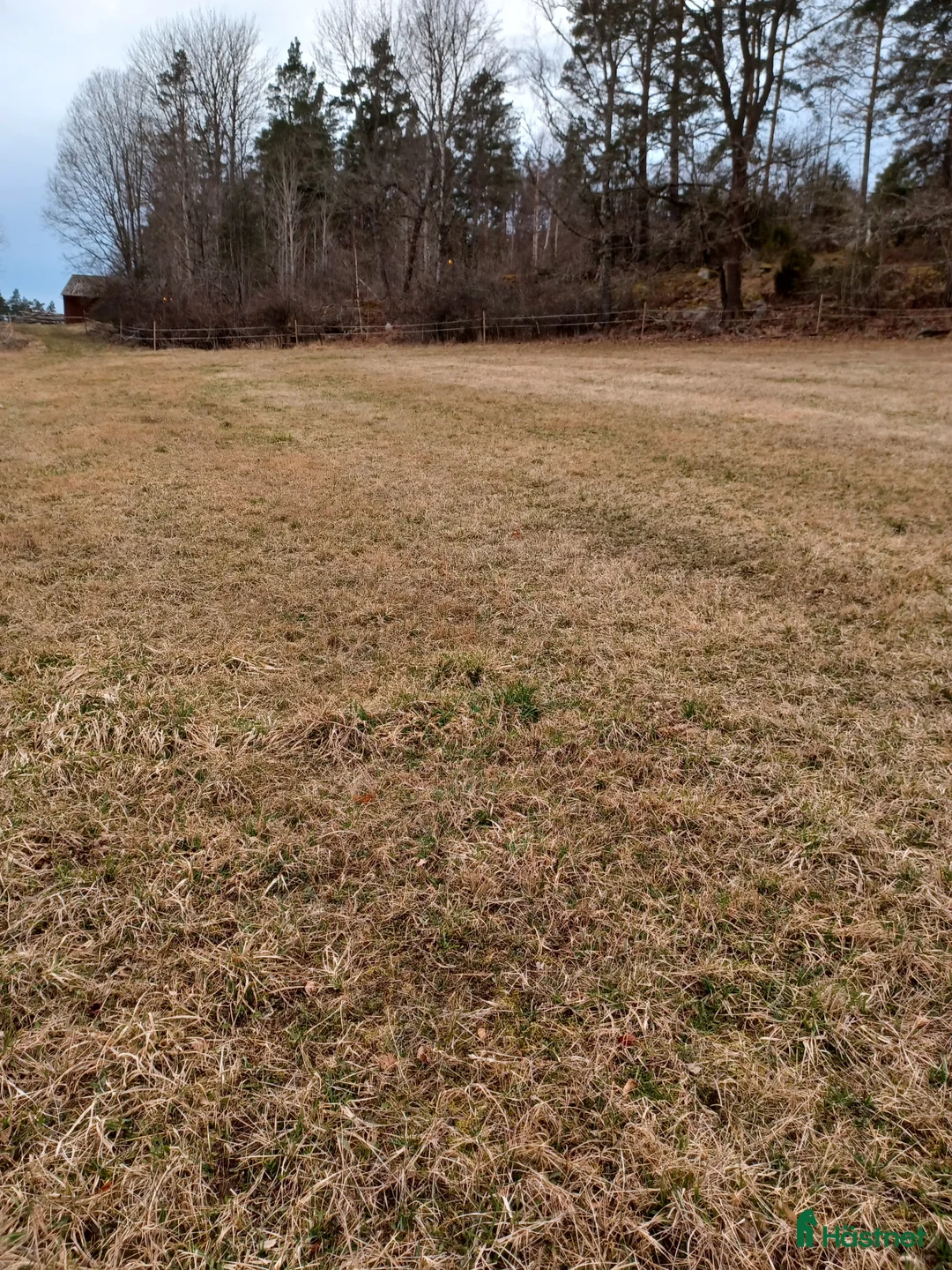  stallplats finnes: Sommarbete med tillsyn  i Ringarum - Annons 1