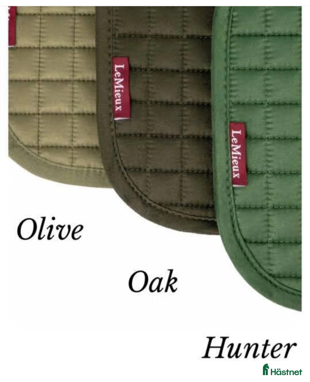 Schabrak & Vojlockar hästutrustning till salu: Lemieux dressyrschabrak Full - Annons 5