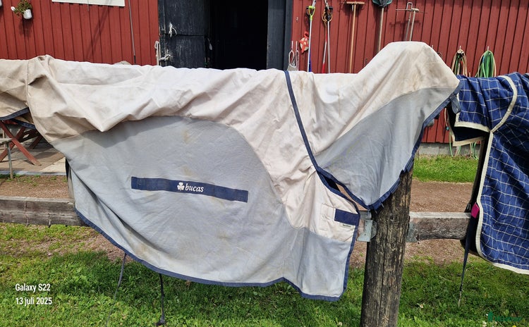 Täcken hästutrustning till salu i Hedemora - Annons 16